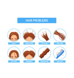 Women Hair Problem Infographics Icons Female