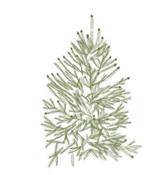 Fir Evergreen Tree Christmas