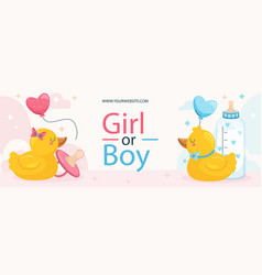 Gender Reveal Celebration Facebook Cover Isolated