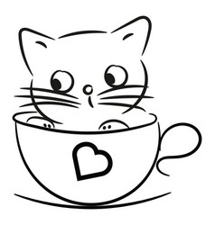 Cat In A Saucer On A White Background