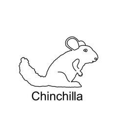 Chinchilla Line Contour