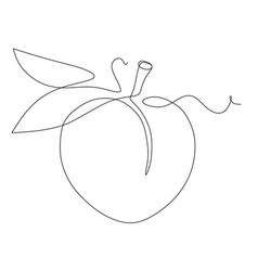 Continuous One Single Line Drawing Of Peach Fruit