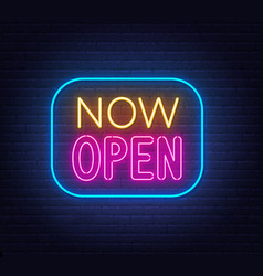 Now Open Neon Sign In Frame On Brick Wall