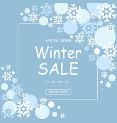 Winter Sale Banner 2