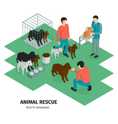 Animal Rescue Isometric Background