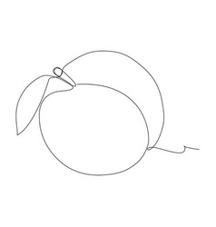 Continuous One Line Drawing Of An Peach Fruit