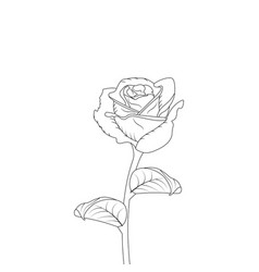 Flower Coloring Page Hand Drawing Line Art