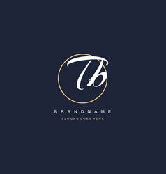 Initial Letter Tb Logo Monogram Feminine Style