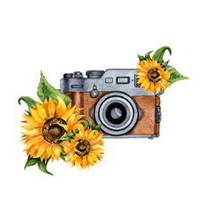 Watercolor Of A Brown Retro Camera And Sunflowers