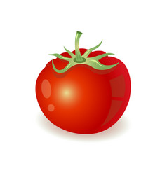 One Bright Red Tomato With A Stem