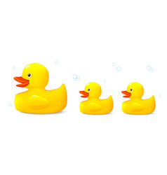 Three Toys Rubber Ducks