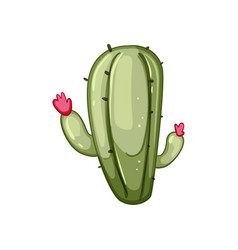 Drawing Cactus Cartoon