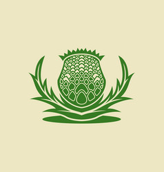 Thistle Flower Logo