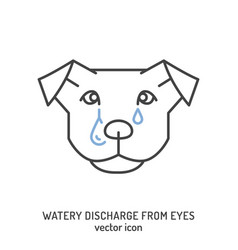 Watery Discharge From Dogs Eyes Common Dog