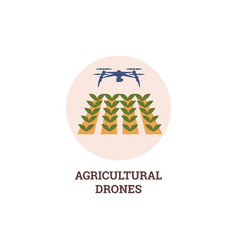 Agricultural Drone Flying Over The Field