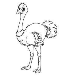 Ostrich Cartoon Animal Bw