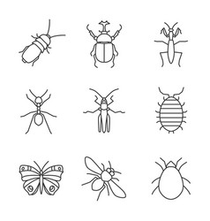 Insects Linear Icons Set