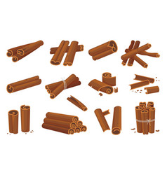 Cartoon Cinnamon Sticks Isolated Spice Cinnamon