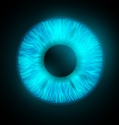 Iris Of The Human Eye