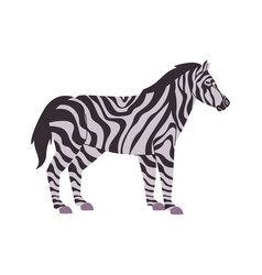 White And Black Color Striped Zebra Nature Animal