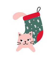 Cat In A Christmas Sock