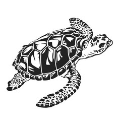 Sea Turtle In Black And White Line Art