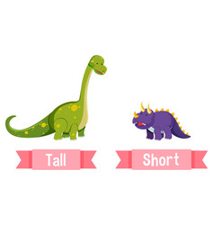 Opposite English Words Tall And Short