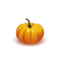 Ripe Pumpkin Isolated On White Icon