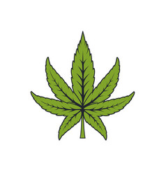 Cannabis Leaf Logo Design Perfect For A Modern