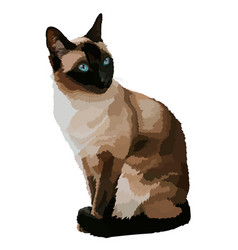 Realistic Siamese Cat Icon On White Background