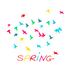 Spring A Birds Flock