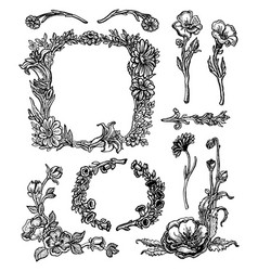 Decorative Hand Drawn Herbs Plants And Flowers