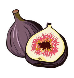 Juicy And Healthy Purple Fig With Half Isolated