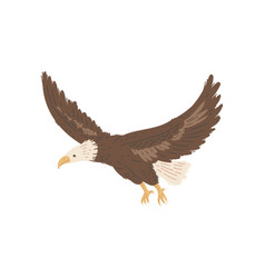 North American Flying Bald Eagle Flat Cartoon