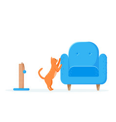 Cat Scratching Chair But Not Scratching Post