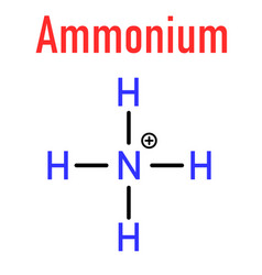 Ammonium Cation Skeletal Formula