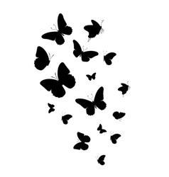 Flock Of Silhouette Black Butterflies On White