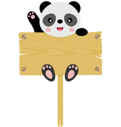 Cute Panda Hanging On An Empty Wooden Board