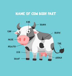 Name Of Cute Cartoon Cow Body Part For Kids