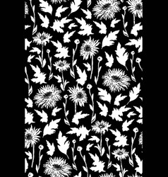 Black And White Wild Chrysanthemum Flowers Stems