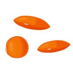 Orange Lentil Beans Icon