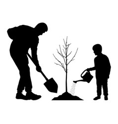 Child watering growing tree Royalty Free Vector Image