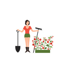 Woman Holding Tools For Garden - A Shovel