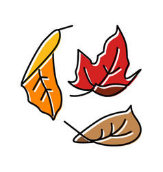 Fall Leaf Autumn Color Icon