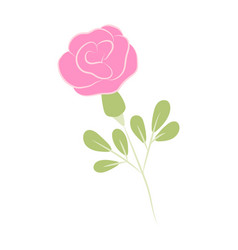 Hand-drawn Pink Rose