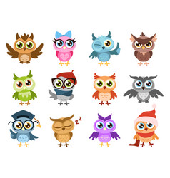 Cute Owls Colorful Friendly Owl Birthday Kids