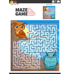 Maze Game Activity With Cartoon Olws Birds Animal