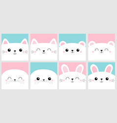 White Cat Rabbit Bunny Seal Pup Sea Lion Bear