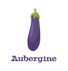 Eggplant Veggie Foodpurple Aubergineguibea