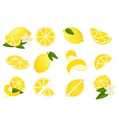 Lemon Cartoon Citrus Peel Slice Half And Zest